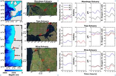 CoastNet Dataset From Mondego, Tejo and Mira Estuaries: Multiparametric Measurements During 2020